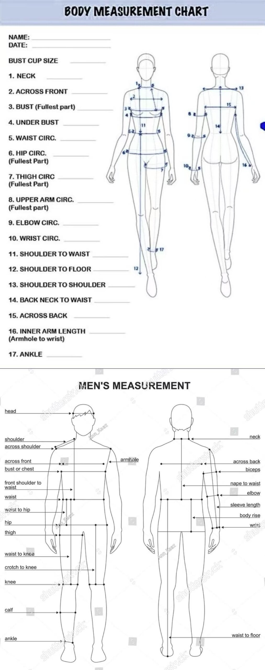 Body Measurements